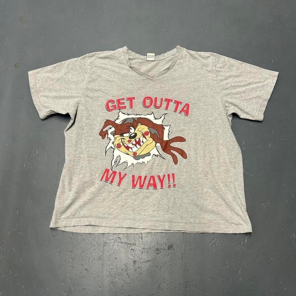 Vintage y2k 2002 oversized Taz looney tunes double sided big print tee tshirt